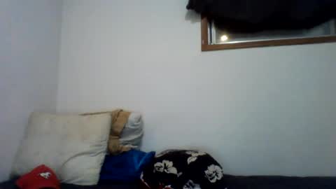 Snapshot of 11dal11 chatting on 6, 8, 2026 11dal11 online show from 6, 8, 2026