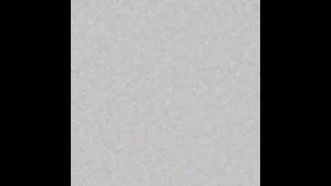 Lance online show from 26, 10, 2025