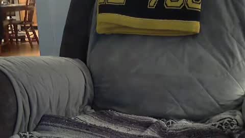 Snapshot of 1badboy360 chatting on 8, 2, 2025 1badboy360 online show from 8, 2, 2025