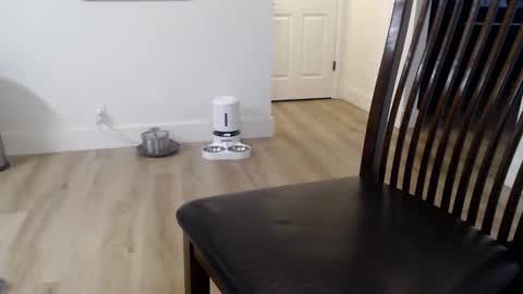 i erupt if you suck ur nipples 4 me and look at the camera while watching me online show from 9, 11, 2025