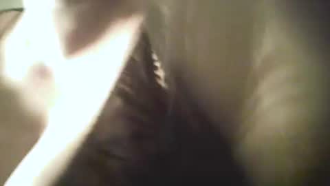 Snapshot of 1deluxepussy chatting on 11, 10, 2025 Deluxepussy online show from 11, 10, 2025