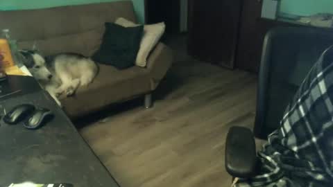 Snapshot of 1handyanddee chatting on 30, 11, 2025 1handyanddee online show from 30, 11, 2025