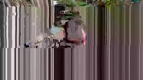 BiHungThickCock69 online show from 2, 3, 2026