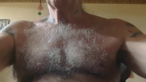 Pizza online show from 4, 12, 2025