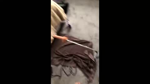 1werd online show from 5, 1, 2025