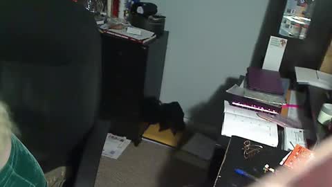 Susan online show from 19, 12, 2025