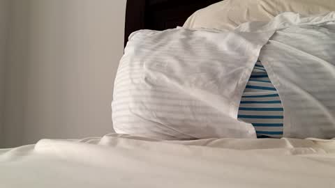 Snapshot of 2022felipe chatting on 14, 12, 2024 2022felipe online show from 14, 12, 2024