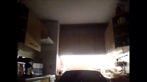 20x5cmgermanlongdong online show from 27, 1, 2025