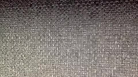 30nick online show from 8, 4, 2026