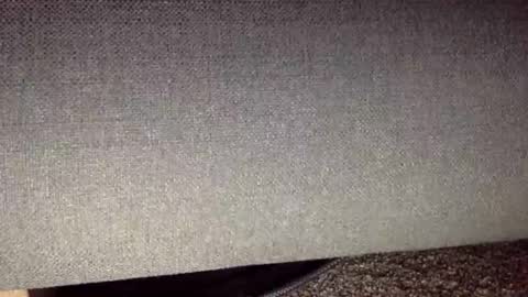 30nick online show from 13, 4, 2026