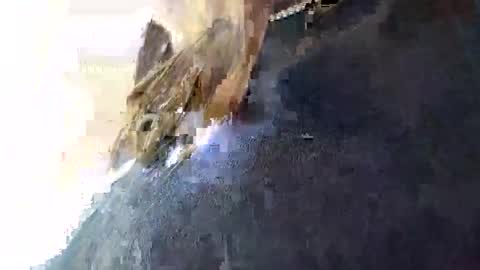 3X NAXAA online show from 16, 1, 2026