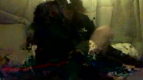 420alwayshard online show from 19, 4, 2026