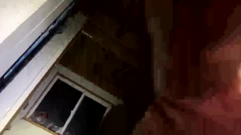 420danny online show from 28, 2, 2025