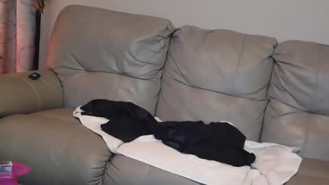 Snapshot of 4theloveofjane chatting on 1, 1, 2025 Jane online show from 1, 1, 2025