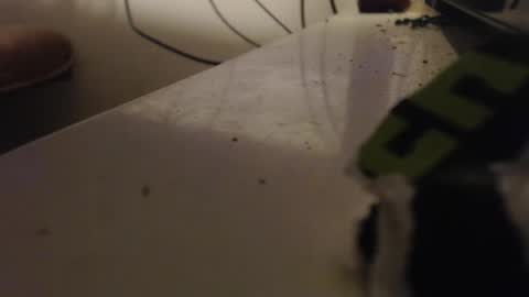 64293boy online show from 15, 3, 2026