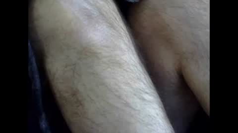 66bear online show from 26, 1, 2025