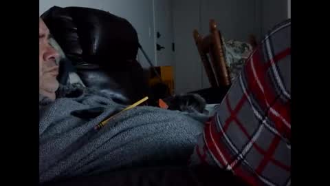 66bear online show from 12, 10, 2025