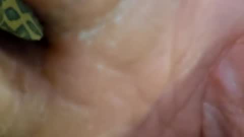 HUGH G RECTION online show from 7, 12, 2024