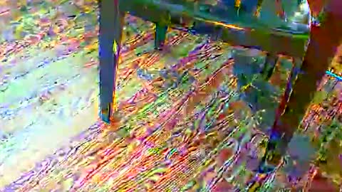 69forever453443 online show from 24, 11, 2025