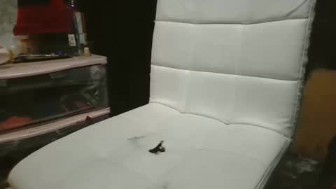 Snapshot of 69meowxxx chatting on 3, 11, 2025 69meowxxx online show from 3, 11, 2025