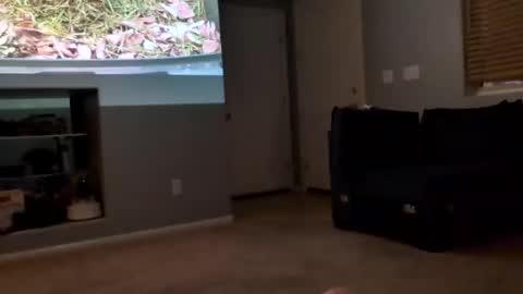 Snapshot of 69singledad79 chatting on 10, 3, 2025 69singledad79 online show from 10, 3, 2025