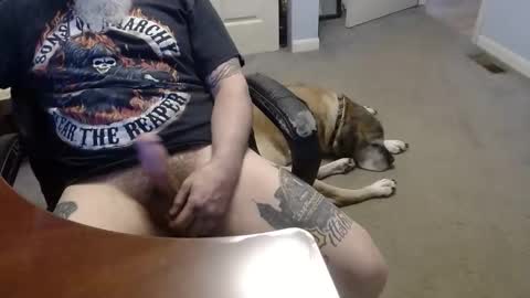 MASTIFF online show from 12, 5, 2026