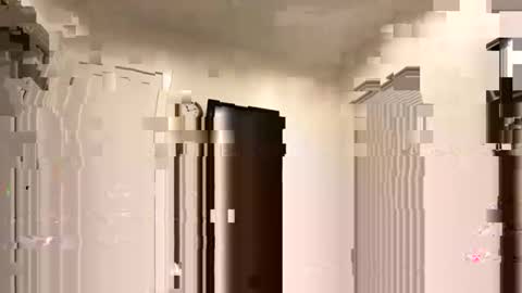 89days online show from 19, 1, 2026