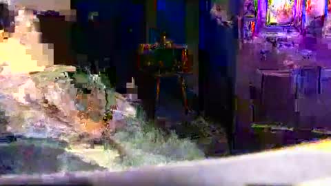 99ez99 online show from 16, 1, 2026