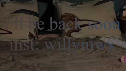 Snapshot of _a_n_n_y_ chatting on 27, 12, 2024 Willow online show from 27, 12, 2024