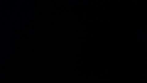 Alexa online show from 26, 11, 2025