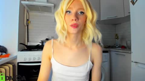 Gaylord online show from 14, 12, 2024