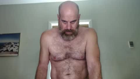 Bacchus online show from 31, 12, 2024