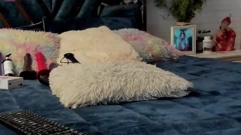 Brenda online show from 8, 3, 2025