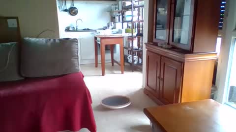 Snapshot of _bubble_buttfunxxx chatting on 11, 10, 2025 _bubble_buttfunxxx online show from 11, 10, 2025