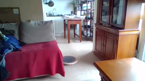 Snapshot of _bubble_buttfunxxx chatting on 13, 10, 2025 _bubble_buttfunxxx online show from 13, 10, 2025