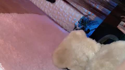 Caroline online show from 8, 3, 2025