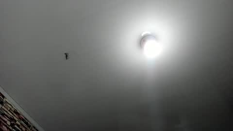 Snapshot of _casandra11 chatting on 17, 2, 2025 _casandra11 online show from 17, 2, 2025