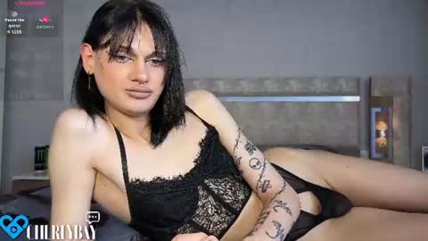 CHER - Independent model online show from 7, 8, 2026