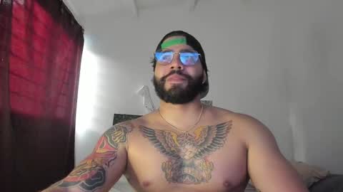  coddy  nolove online show from 26, 2, 2025