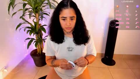     online show from 15, 12, 2025