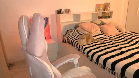 Snapshot of _loveliness_ chatting on 23, 11, 2025 Amanda mandy online show from 23, 11, 2025