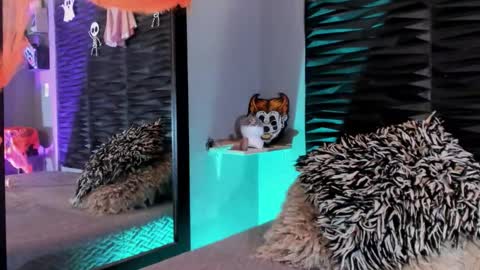 _lustyles_ online show from 31, 10, 2025