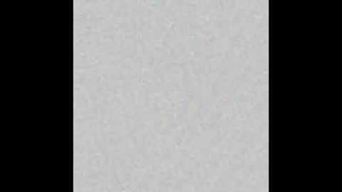 _maccaa_ online show from 28, 10, 2025