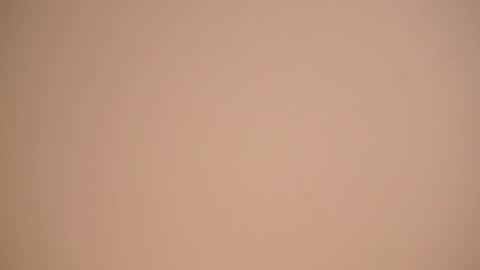  Gwen  online show from 13, 4, 2026