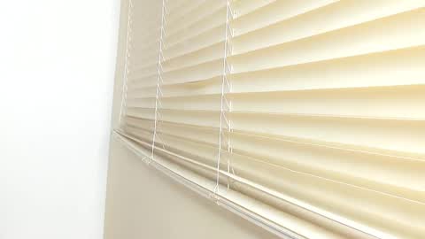 Snapshot of _molly_rosse_ chatting on 21, 11, 2025 _molly_rosse_ online show from 21, 11, 2025