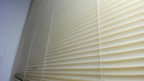 Snapshot of _molly_rosse_ chatting on 5, 12, 2025 _molly_rosse_ online show from 5, 12, 2025