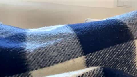 Snapshot of _muestroverga chatting on 15, 3, 2026 _muestroverga online show from 15, 3, 2026