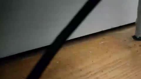 _nicetobehere_ online show from 16, 1, 2026