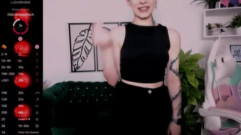 Rein online show from 8, 9, 2025