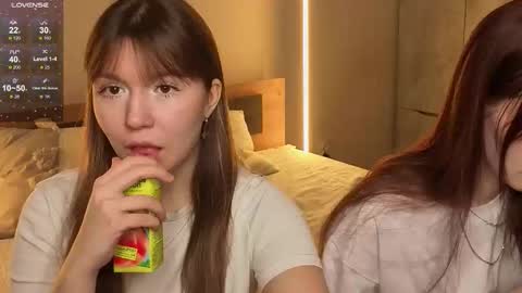 LISSAPVT IS OPEN online show from 1, 2, 2026